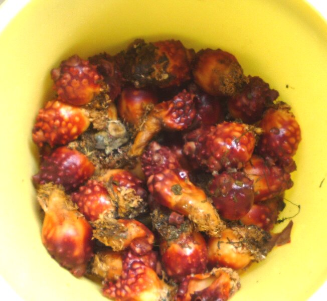 0620-1.jpg