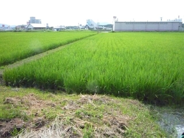 0725-1.jpg