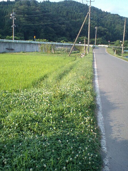 0725-2.jpg