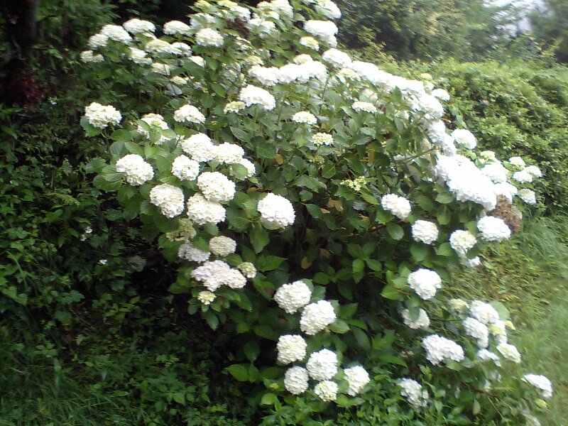 0707-2.jpg