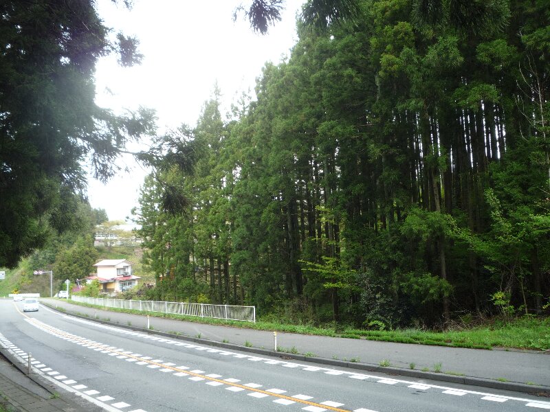 0805-1.jpg