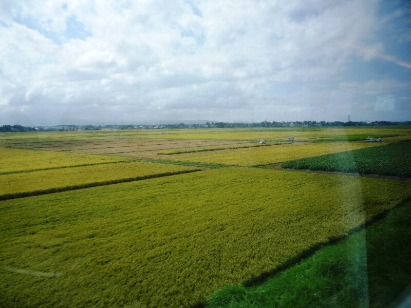 0917-0.jpg