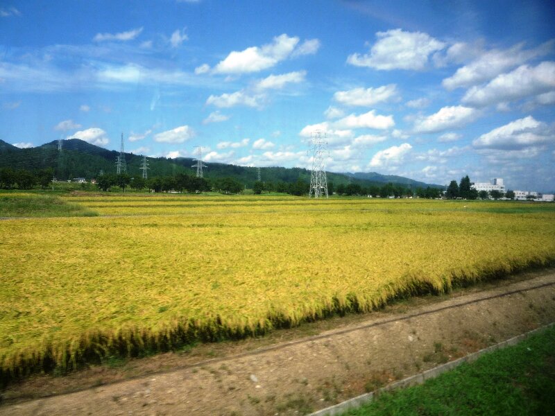 0917-1.jpg