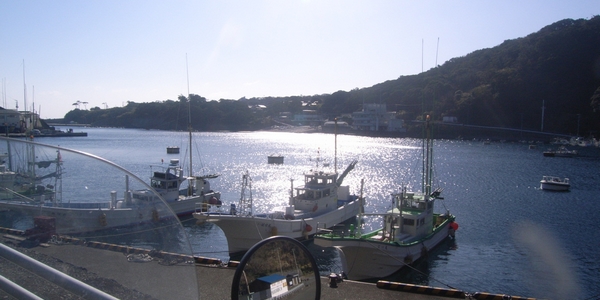 R0012650.jpg