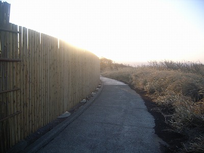 s-R0012636.jpg