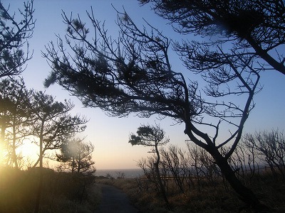 s-R0012637.jpg