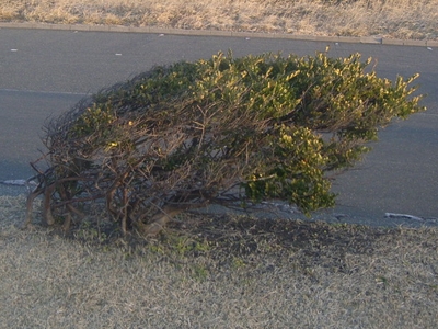 s-R0012641.jpg