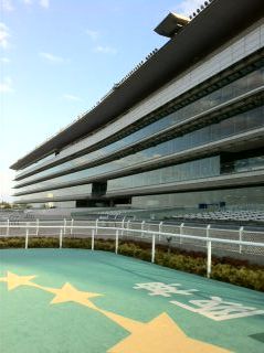 阪神競馬場