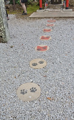 DSC_1070.jpg