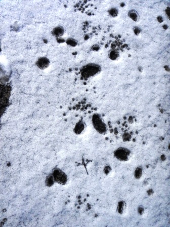 雪3
