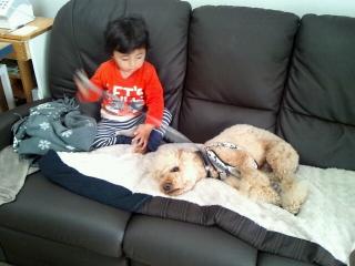 2012_0403_112721_782_convert_20120405000841.jpg