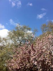 photo (3)
