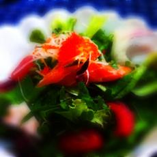 Photo (3)