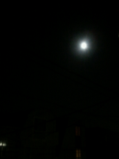 photo (1)