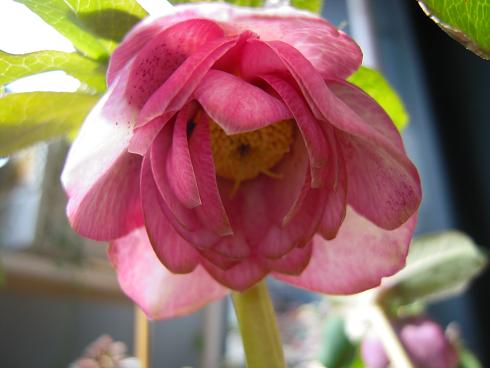 DSCN9426.jpg