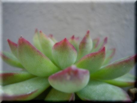 DSCN0701.JPG