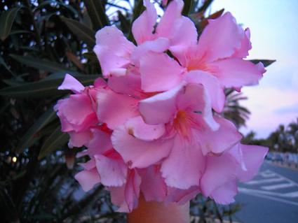 DSCN0897.JPG