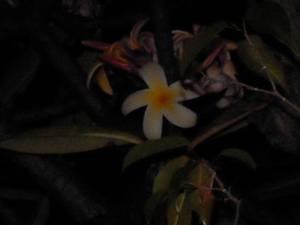 DSCN0912.JPG