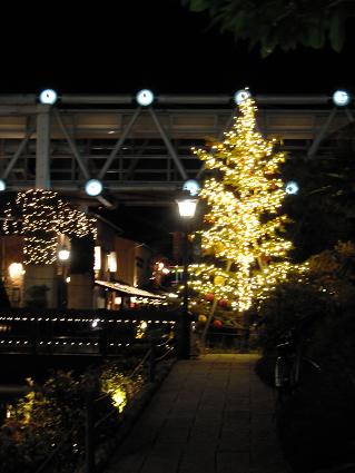 DSCN2646.JPG