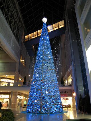 DSCN2648.JPG