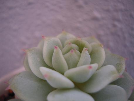 DSCN0707.JPG