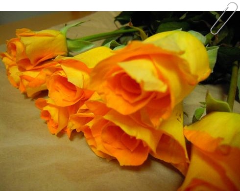 DSCN2830.JPG