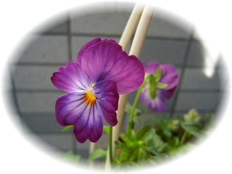 DSCN2858.JPG