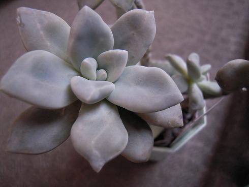 DSCN2977.JPG