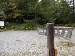 蓼 (8)
