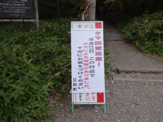 蓼 (10)