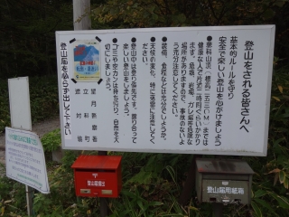 蓼 (11)