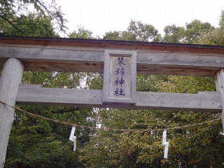 蓼 (12)