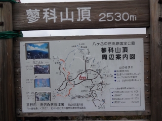 蓼 (78)