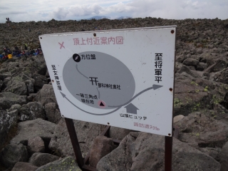 蓼 (91)