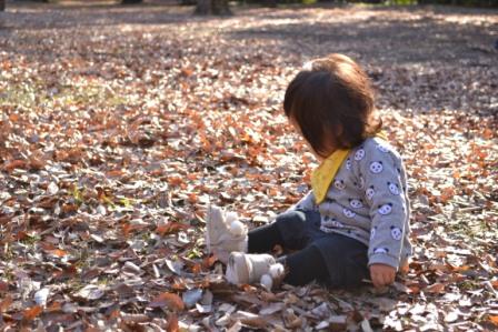 写真 086
