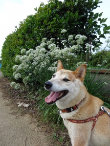 DSC00701.jpg