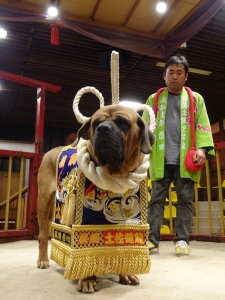 DSC00816.jpg