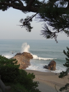 DSC00901.jpg