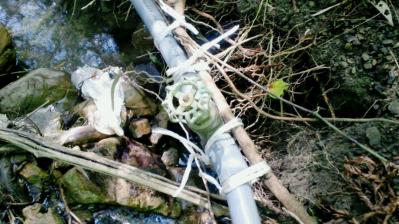 NEC_0002_20111003133637.jpg