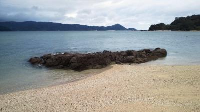 2011.10.5=朝の鯨浜2