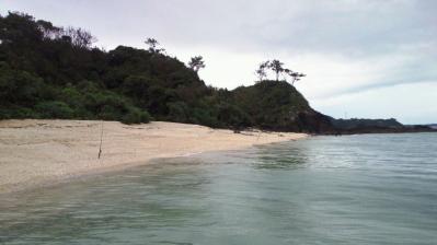 2011.10.5=朝の鯨浜4
