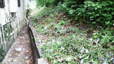 鯨浜の裏庭