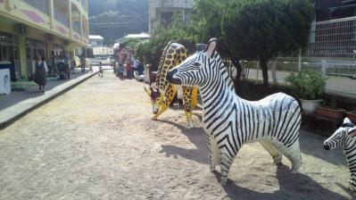 2011.10.9=ふうちゃん運動会4