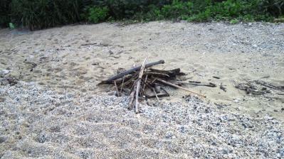 鯨浜の掃除1