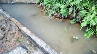裏の池の掃除3