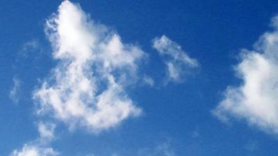 空1
