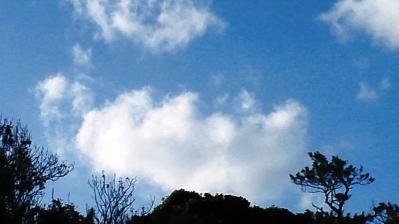 空2