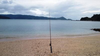 今朝の釣果1