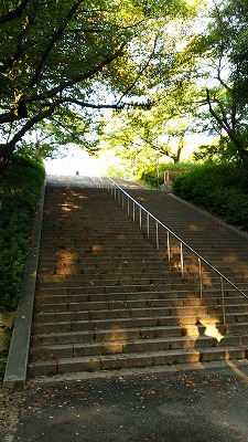 大阪城階段20140926
