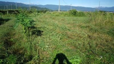 2011-9-19畑